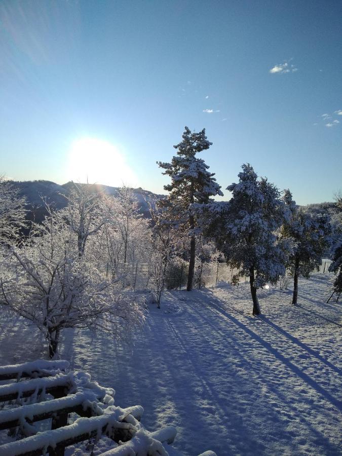 B&B Il Sogno Dovadola Εξωτερικό φωτογραφία