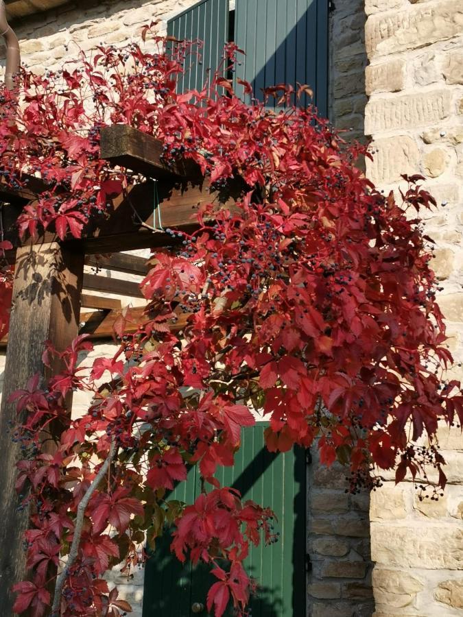 B&B Il Sogno Dovadola Εξωτερικό φωτογραφία